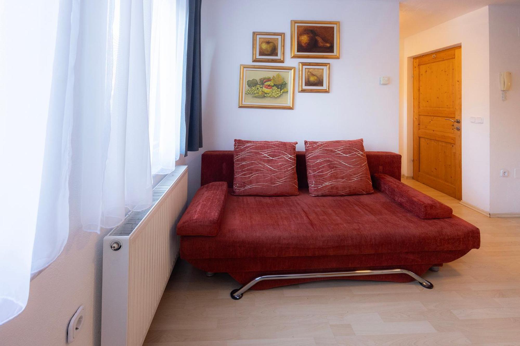 Apartmaji Anze Kranjska Gora Camera foto